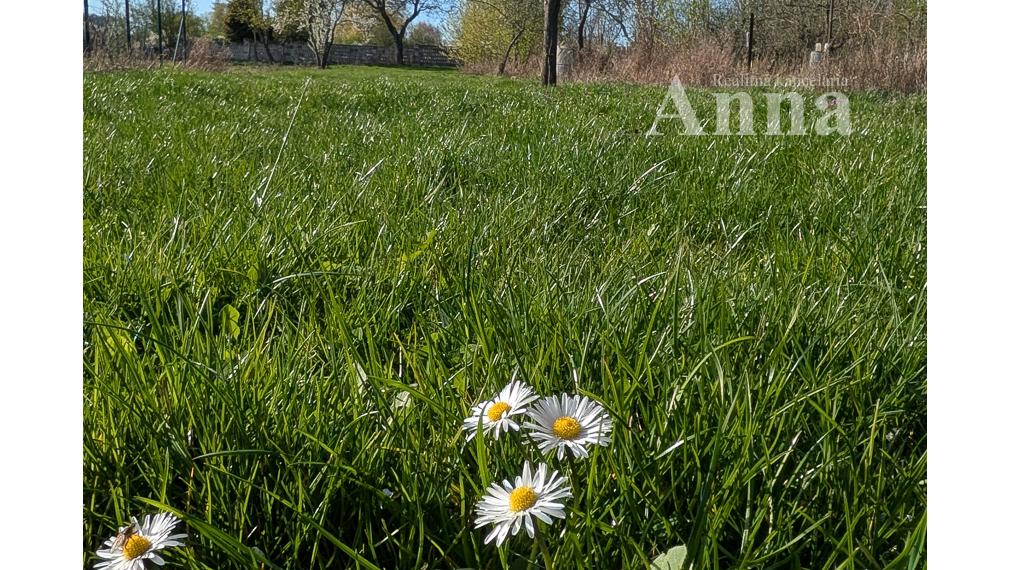 Vidiecky dom vhodný na rek. - Bílkove Humence (Nová cena)