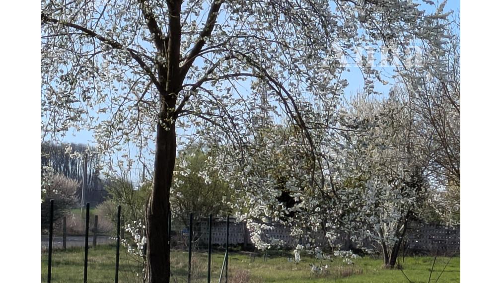 Vidiecky dom vhodný na rek. - Bílkove Humence (Nová cena)