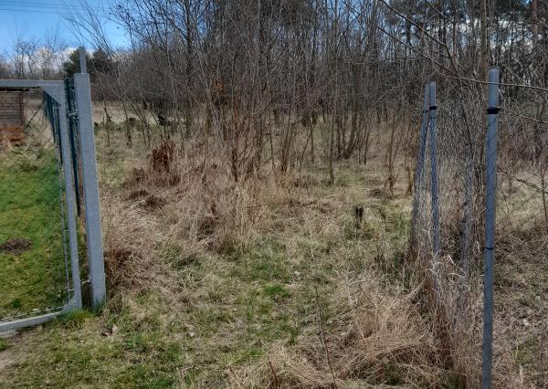 Záhrada - Devínske Jazero (585 m2)